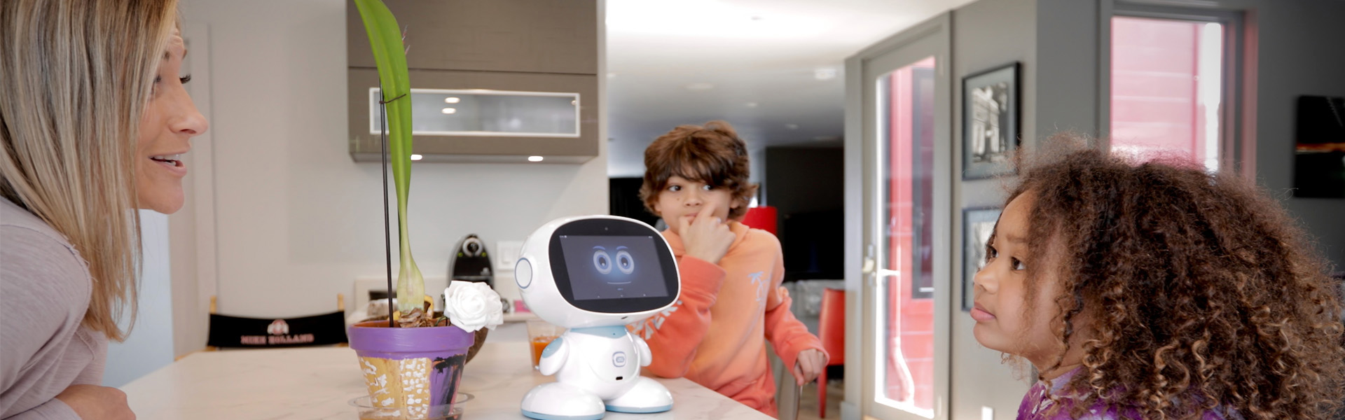 Meet the Misa family robot 